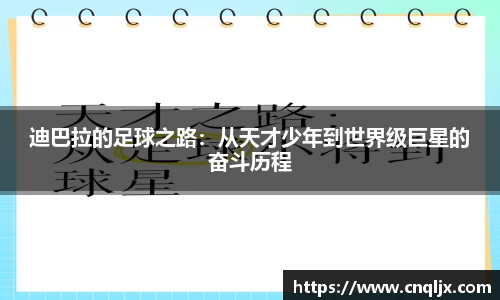 bsports官网入口