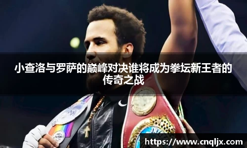 bsports官网入口
