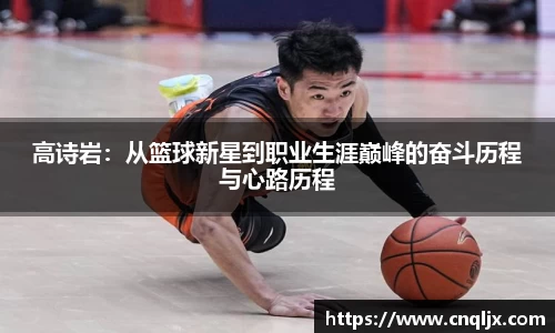 B体育官网