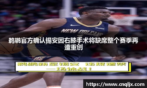 B体育bsports