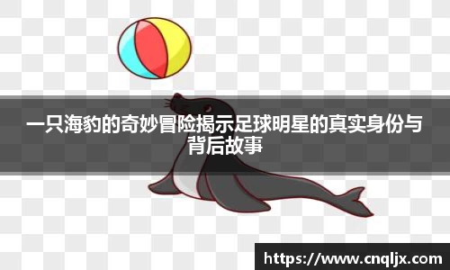 一只海豹的奇妙冒险揭示足球明星的真实身份与背后故事